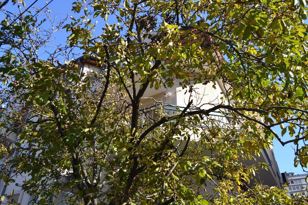 Villa K Apartments Belgrado Quarto foto